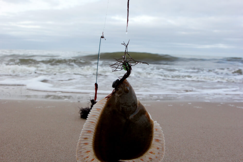 How To Catch Flounder Fish Expert Tips And Techniques